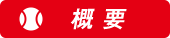 概要