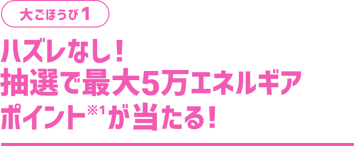 大ごほうび1 ハズレなし！抽選で最大5万エネルギアポイント※1が当たる！