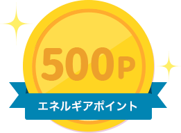 500P エネルギアポイント
