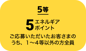 5等 5エネルギアポイント ご応募いただいたお客さまのうち、１～4等以外の方全員
