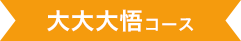 大大大悟コース
