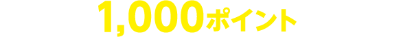年間約1,000ポイント（※1）たまる！