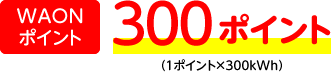 ＷＡＯＮポイント：300ポイント（１ポイント×300kWh）