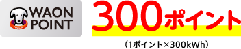 WAON POINT:300ポイント(1ポイント×300kWh)