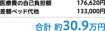 合計 約30.9万円
