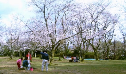 園内の様子