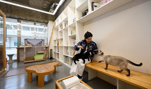 保護猫カフェ ネコリパブリック広島