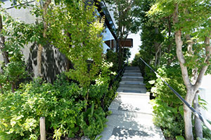 清松庵たちばな　和カフェ