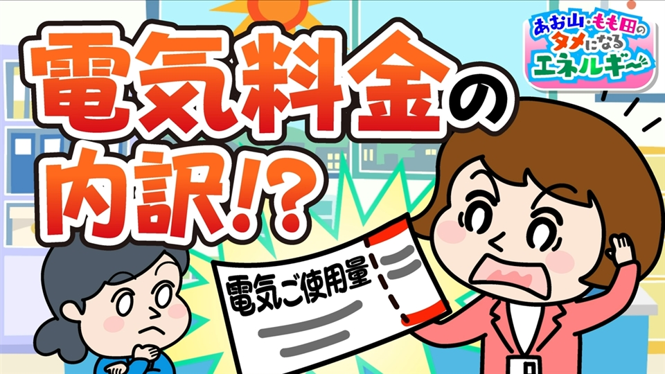 あお山・もも田のタメになるエネルギー「電気料金の内訳!?」