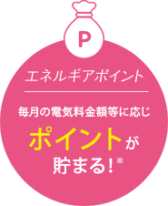 エネルギアポイント 毎月の電気料金額等に応じポイントが貯まる！※