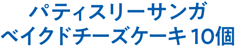 パティスリーサンガ　ベイクドチーズケーキ 10個