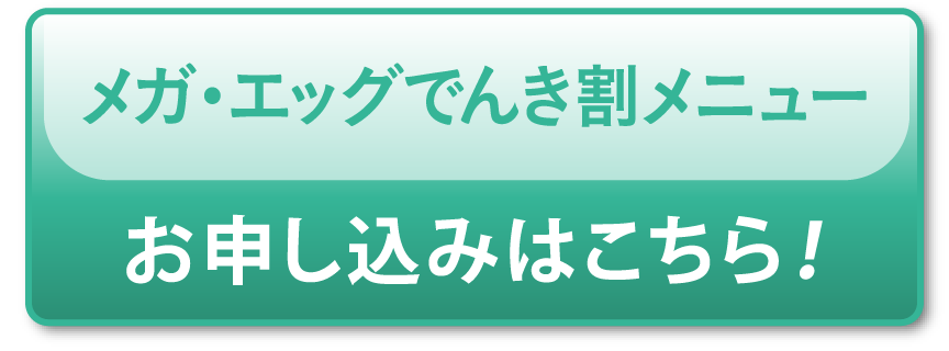 「メガ・エッグ でんき割メニュー」お申し込みはこちら！
