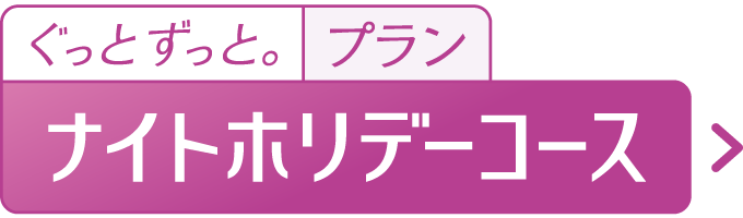 ナイトホリデーコース